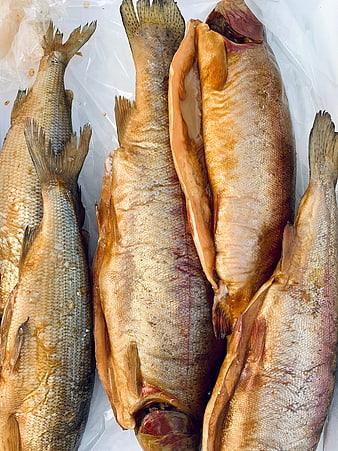 Smoked fish on plastic sheet