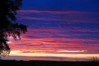 Vibrant purple and red sunset sky with silhouetted tree