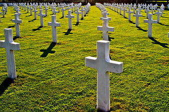 Rows of white crosses in a military cemetery on green grass