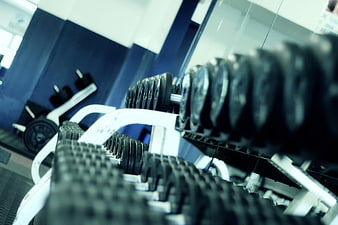 Close-up of dumbbells on rack in modern gym