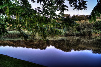 Serene River Reflection Under Hanging Willow Branches