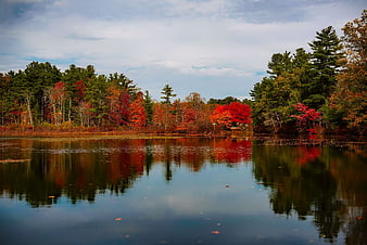 Serene Autumn Lake with Vibrant Red and Green Tree Reflections