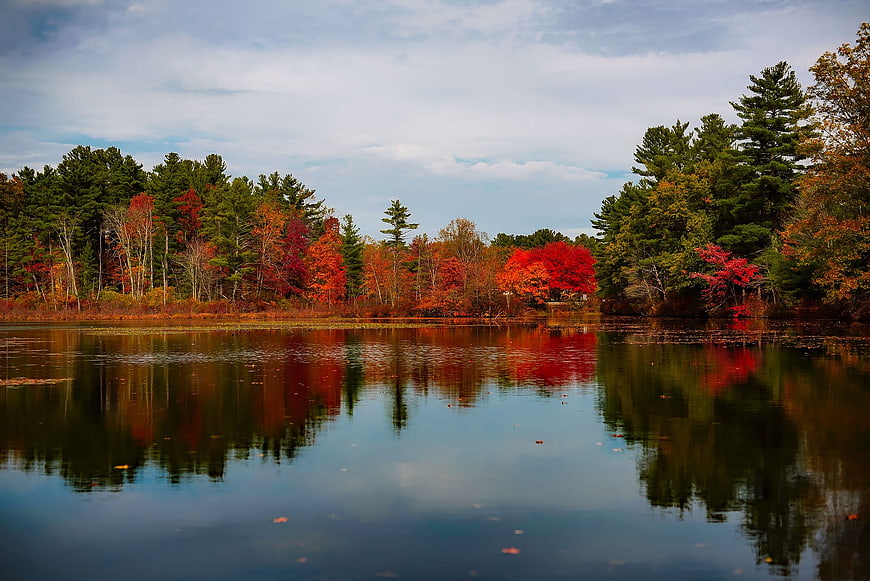 Serene Autumn Lake with Vibrant Red and Green Tree Reflections