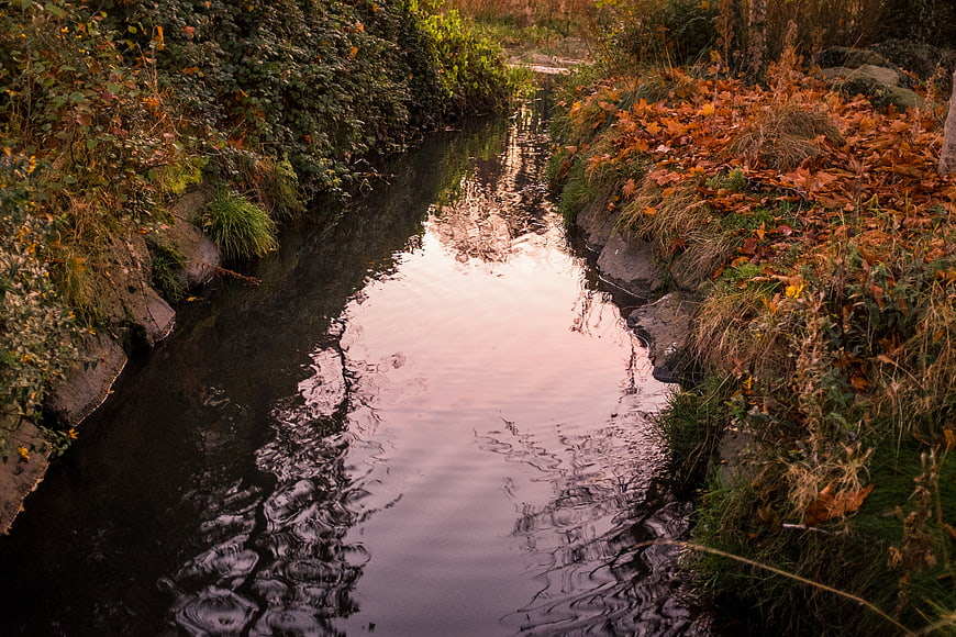 Autumn Stream with Pink Sky Reflection and Orange Leaves
