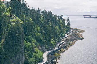 Coastal Path Along Forested Cliff with Ocean View