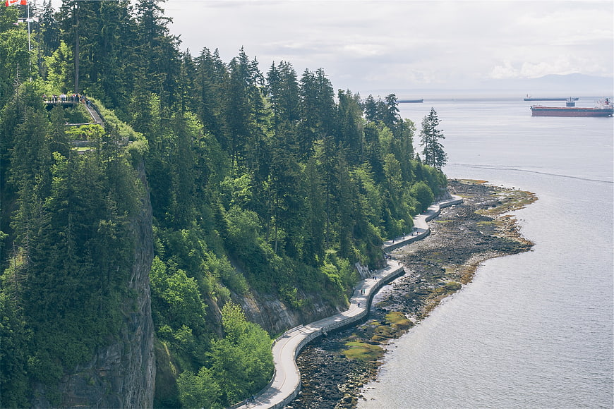 Coastal Path Along Forested Cliff with Ocean View