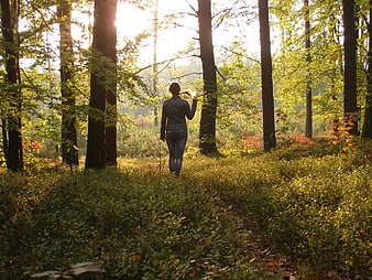 Woman walking away in sunlit autumn forest