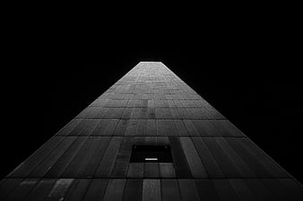 Low angle black and white skyscraper facade