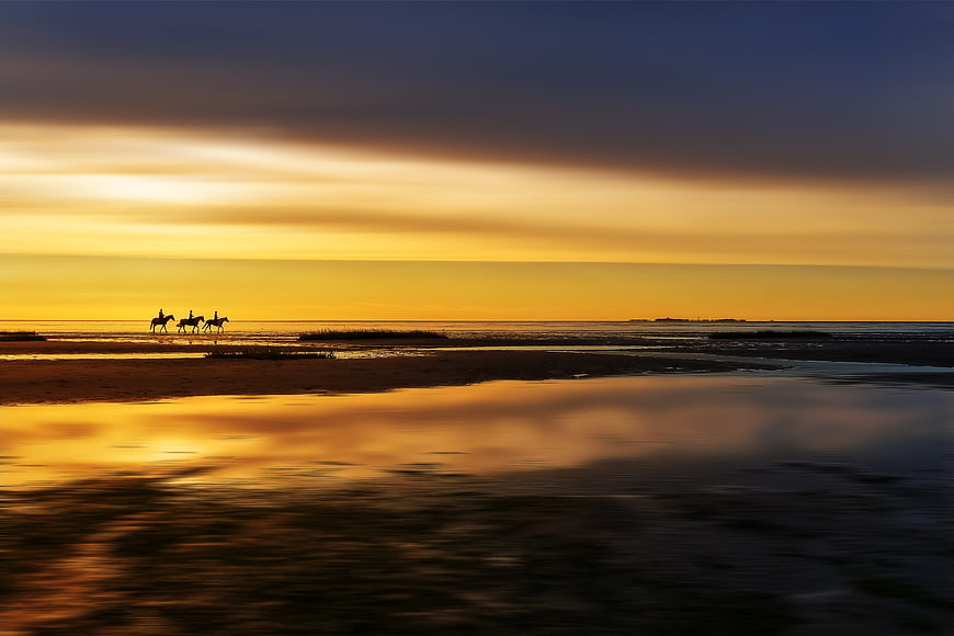 Silhouetted Horse Riders on Beach at Golden Sunset