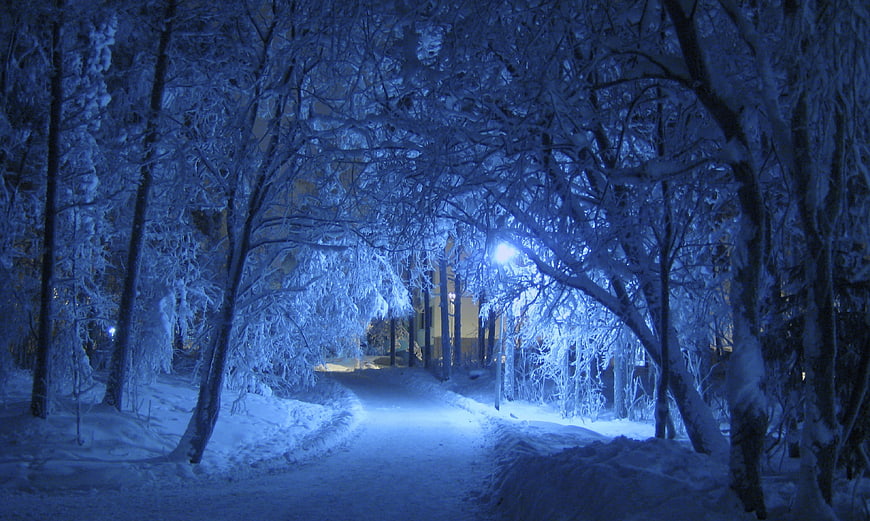 Snowy Forest Path at Night with Blue Street Lamp