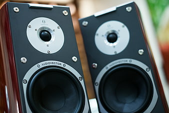 Close-up of Audiovector high-end stereo speakers with wooden cabinets