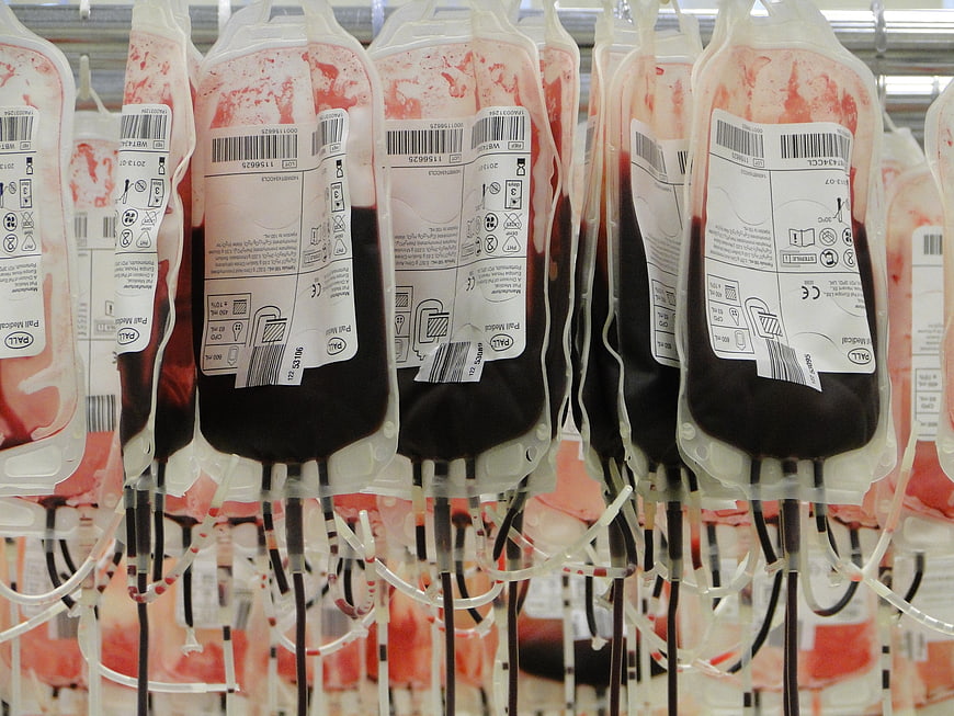 Rows of blood bags hanging in a medical storage rack
