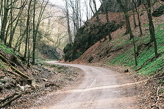 Winding dirt road through a forest with bare trees and rocky hills