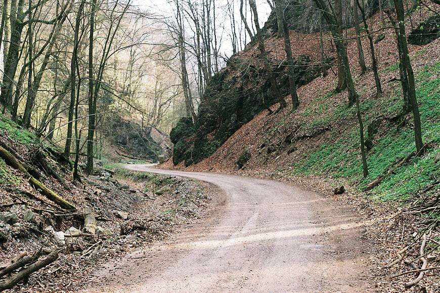 Winding dirt road through a forest with bare trees and rocky hills