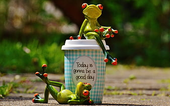 Cute Green Ceramic Frogs on Coffee Cup with Positive Message