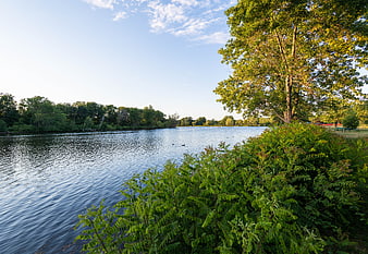 Serene Lake Landscape with Green Trees and Blue Sky