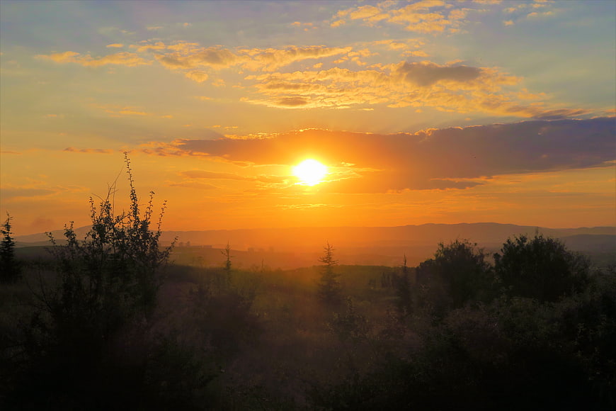 Golden Sunset Over Rolling Hills and Silhouetted Trees