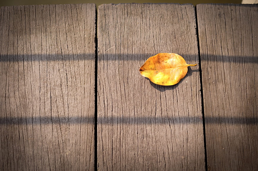 Yellow autumn leaf on weathered wooden planks with shadows