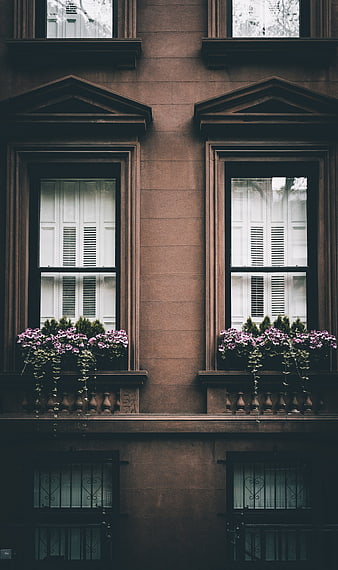 Symmetrical Brownstone Windows with Flower Boxes