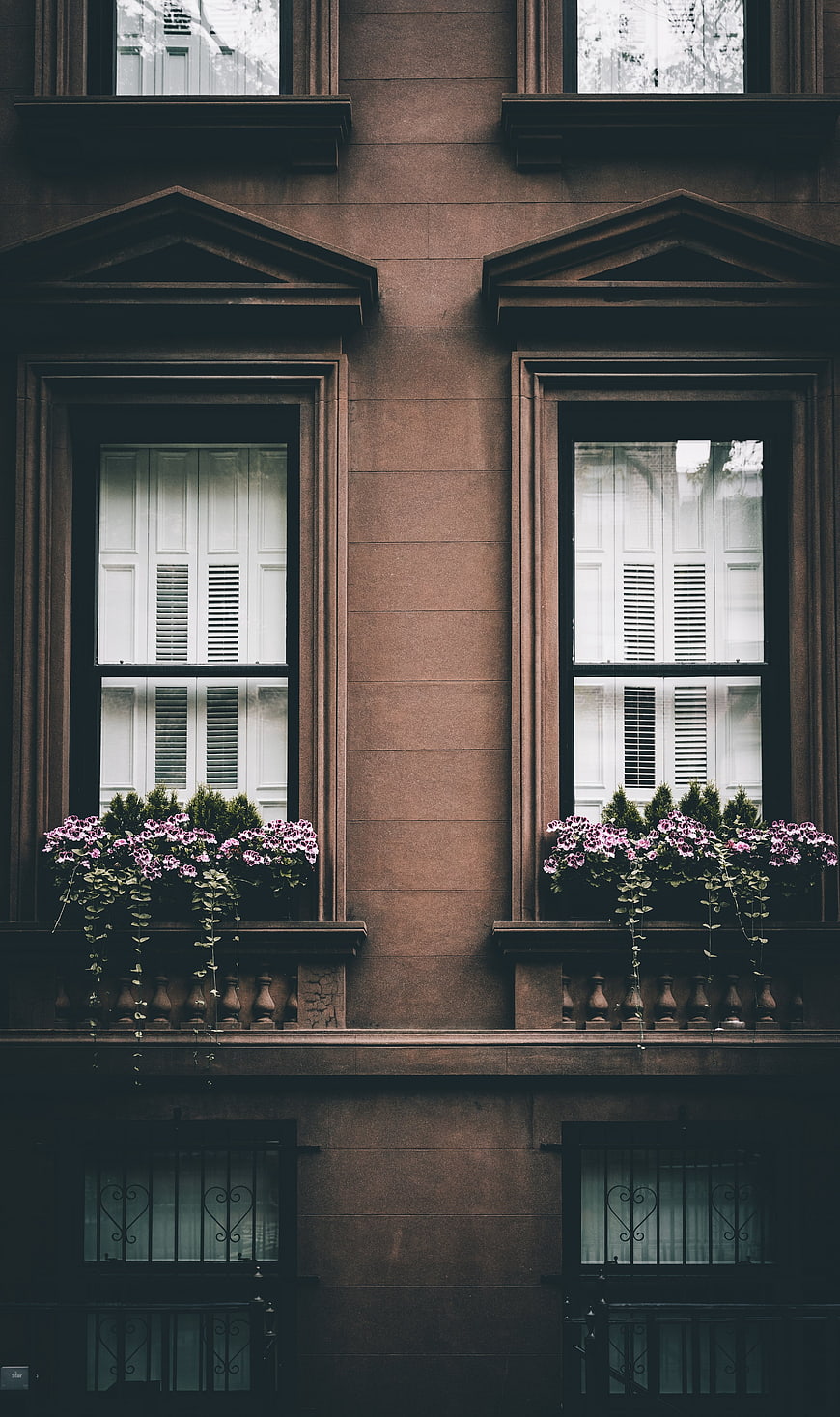 Symmetrical Brownstone Windows with Flower Boxes