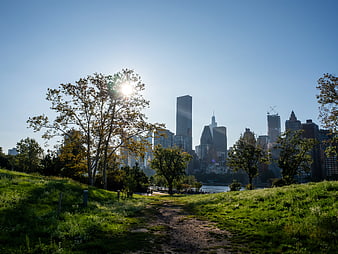 Manhattan Skyline View from Roosevelt Island Park