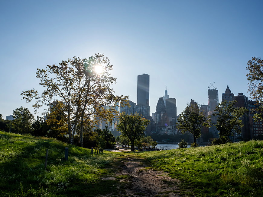 Manhattan Skyline View from Roosevelt Island Park