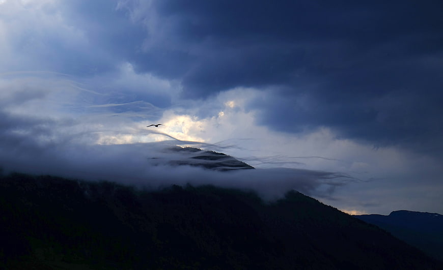 Dramatic Bird Flying Over Misty Mountain Peaks at Dusk