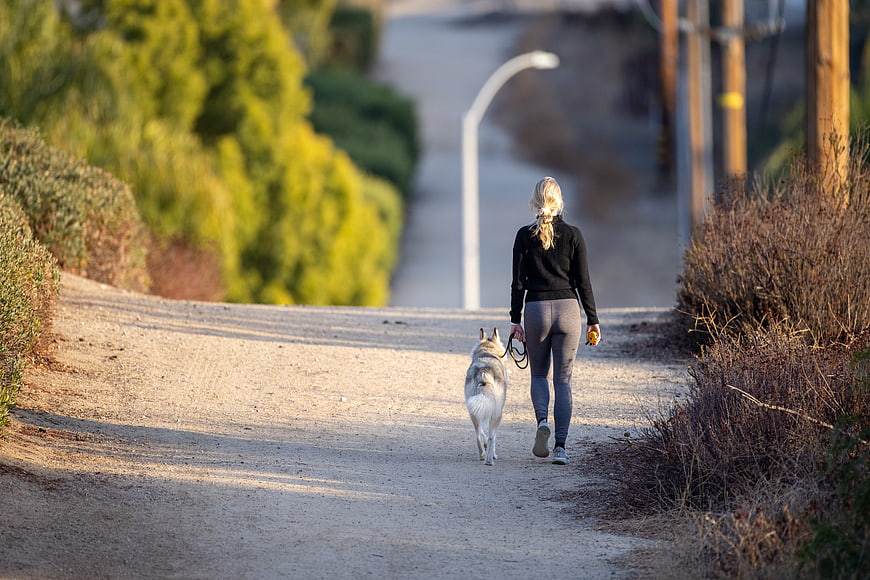 Woman Walking Husky Dog on Dirt Path at Sunset