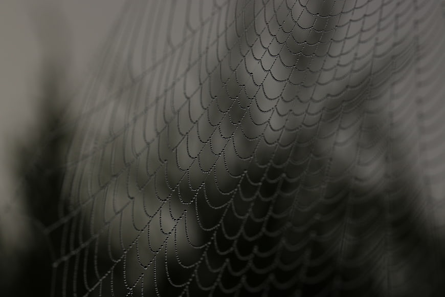 Close-up of intricate spider web pattern in monochrome