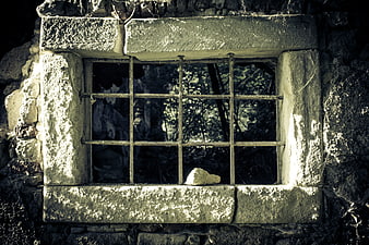 Old stone window with iron bars in abandoned ruin
