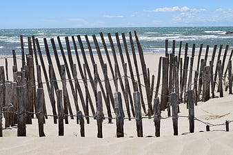 Weathered wooden dune fence on sandy beach with ocean waves
