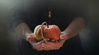 Woman holding small orange pumpkin in hands