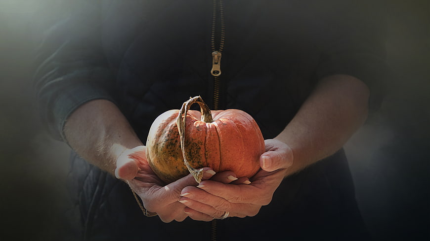 Woman holding small orange pumpkin in hands