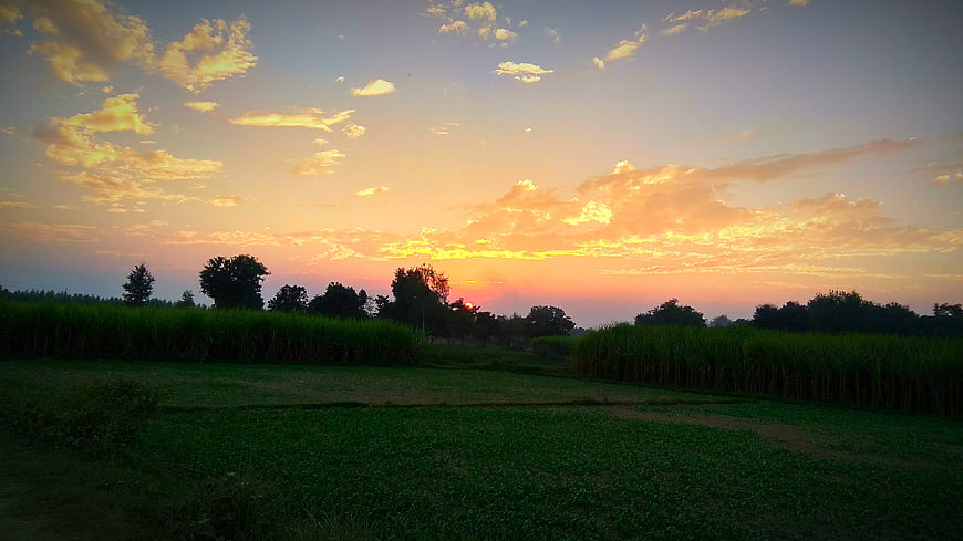 Golden sunset over green agricultural fields and trees