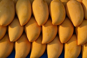 Close-up of ripe yellow mangoes arranged in rows