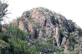 Rugged Rocky Mountain Peak with Green Vegetation