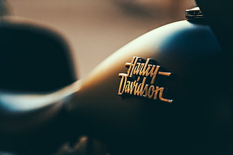 Close-up of Harley-Davidson Logo on Motorcycle Tank