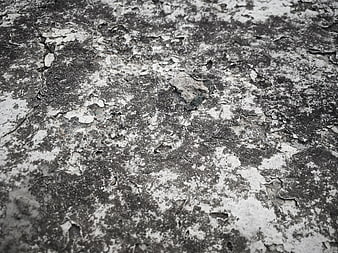 Close-up of weathered concrete with peeling paint texture