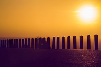 Silhouette of wooden fence posts against golden sunset sky