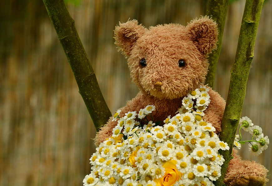 Cute teddy bear holding bouquet of white daisies and yellow roses