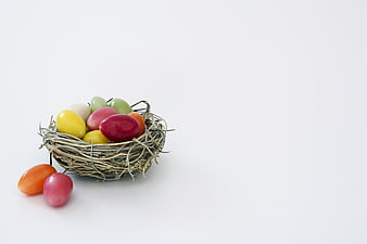 Colorful Easter Eggs in a Nest on White Background