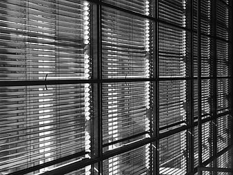 Black and white abstract pattern of window blinds and shadows