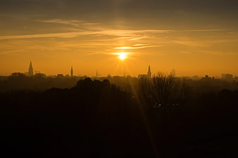 Golden sunset over city skyline with silhouetted trees