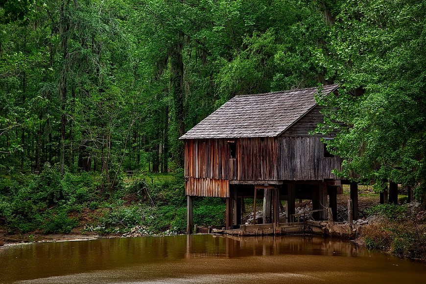 Rustic wooden shed on stilts by a river in a forest