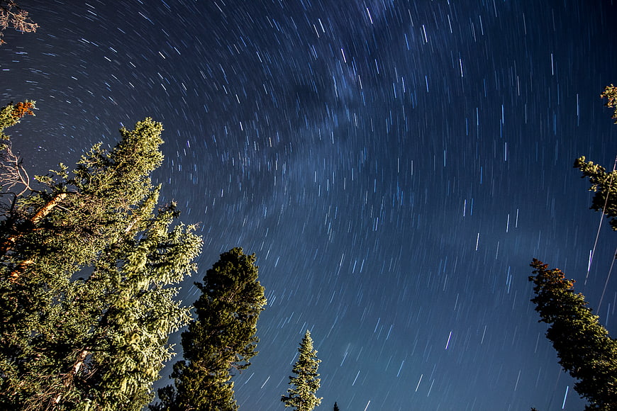 Star trails over pine trees at night