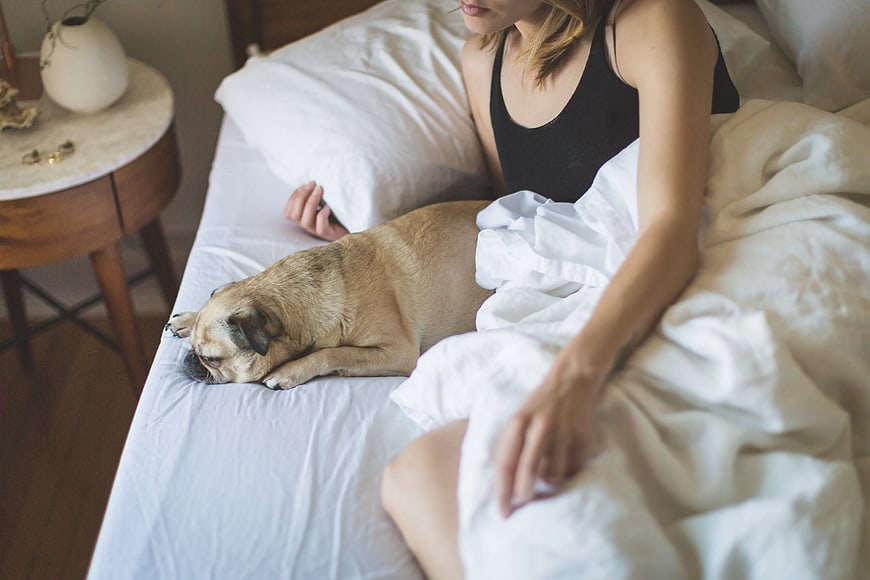 Woman and Sleeping Pug in Cozy Bedroom Morning