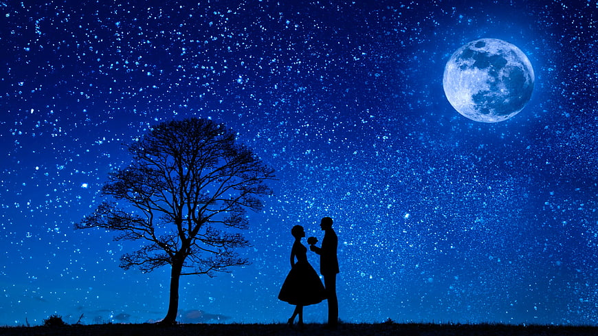 Romantic couple silhouette under starry night sky with full moon and tree