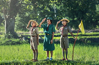 Three Thai Scouts Saluting in Green Rice Field