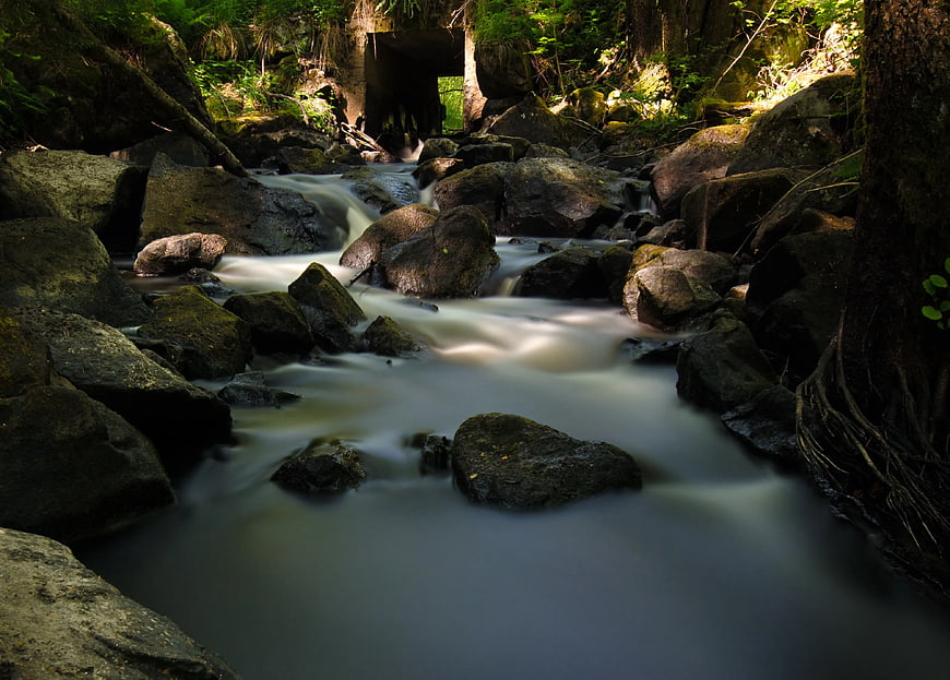 Long Exposure Forest Stream Flowing Through Rocks