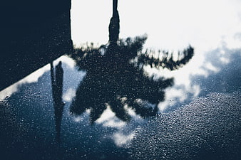Abstract Reflection of Trees and Sky in Rainy Puddle